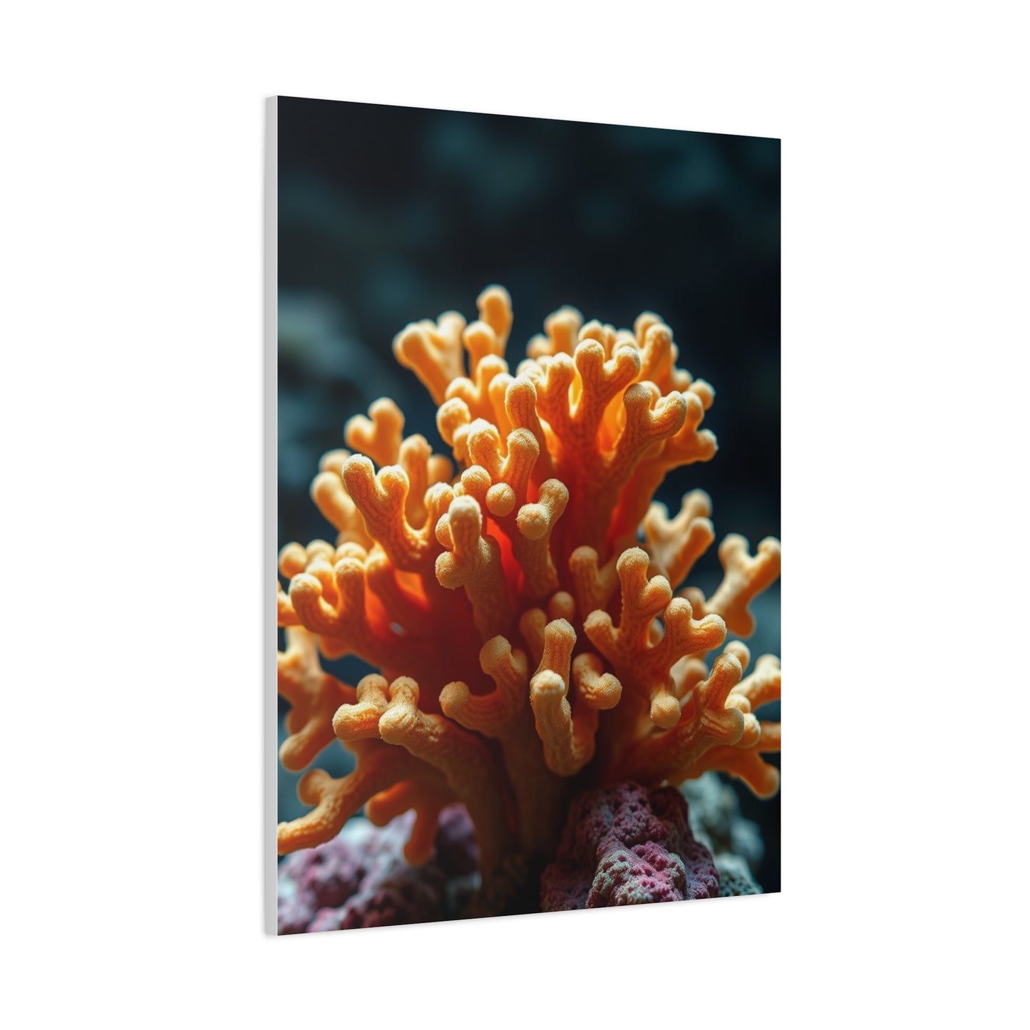 Supreme Coral Art Collection Wall Art & Canvas Print