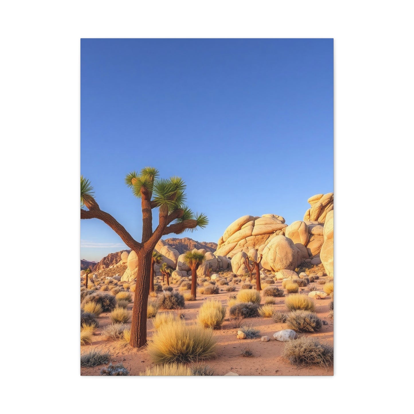 Joshua Tree National Park Art Supreme Gallery Wall Art & Canvas Print