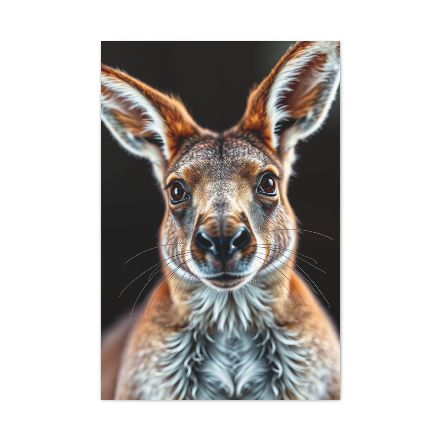 Kangaroo Art Supreme Gallery Wall Art & Canvas Print