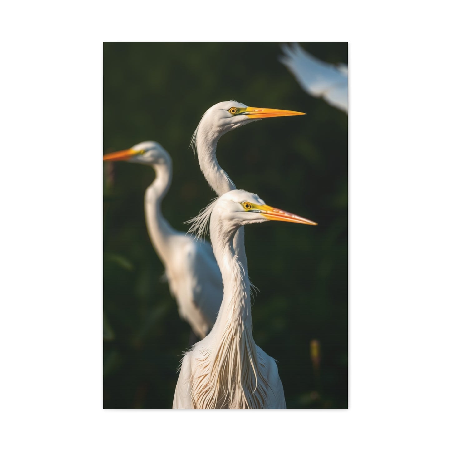 Herons and Egrets Art Supreme Gallery Wall Art & Canvas Print