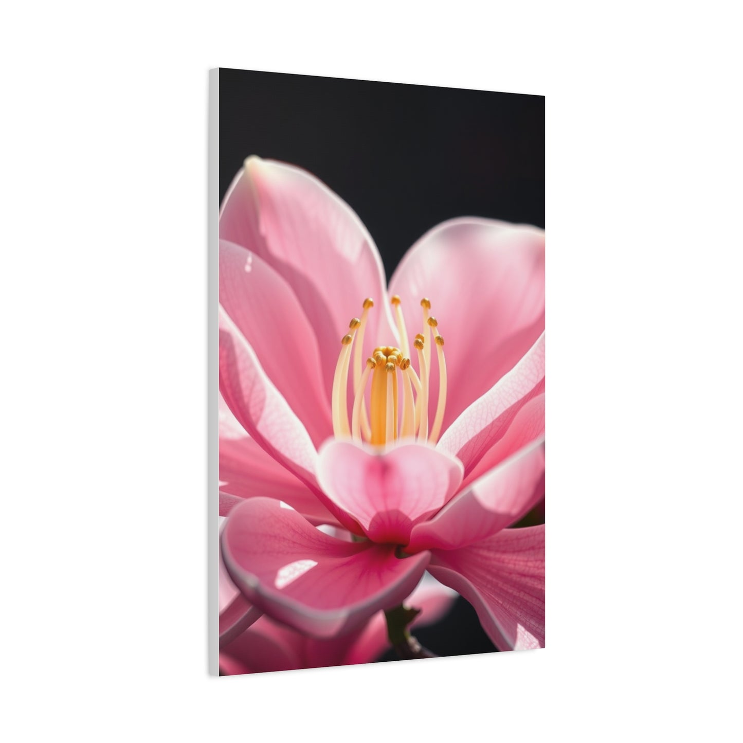 Magnolia Art Supreme Gallery Wall Art & Canvas Print
