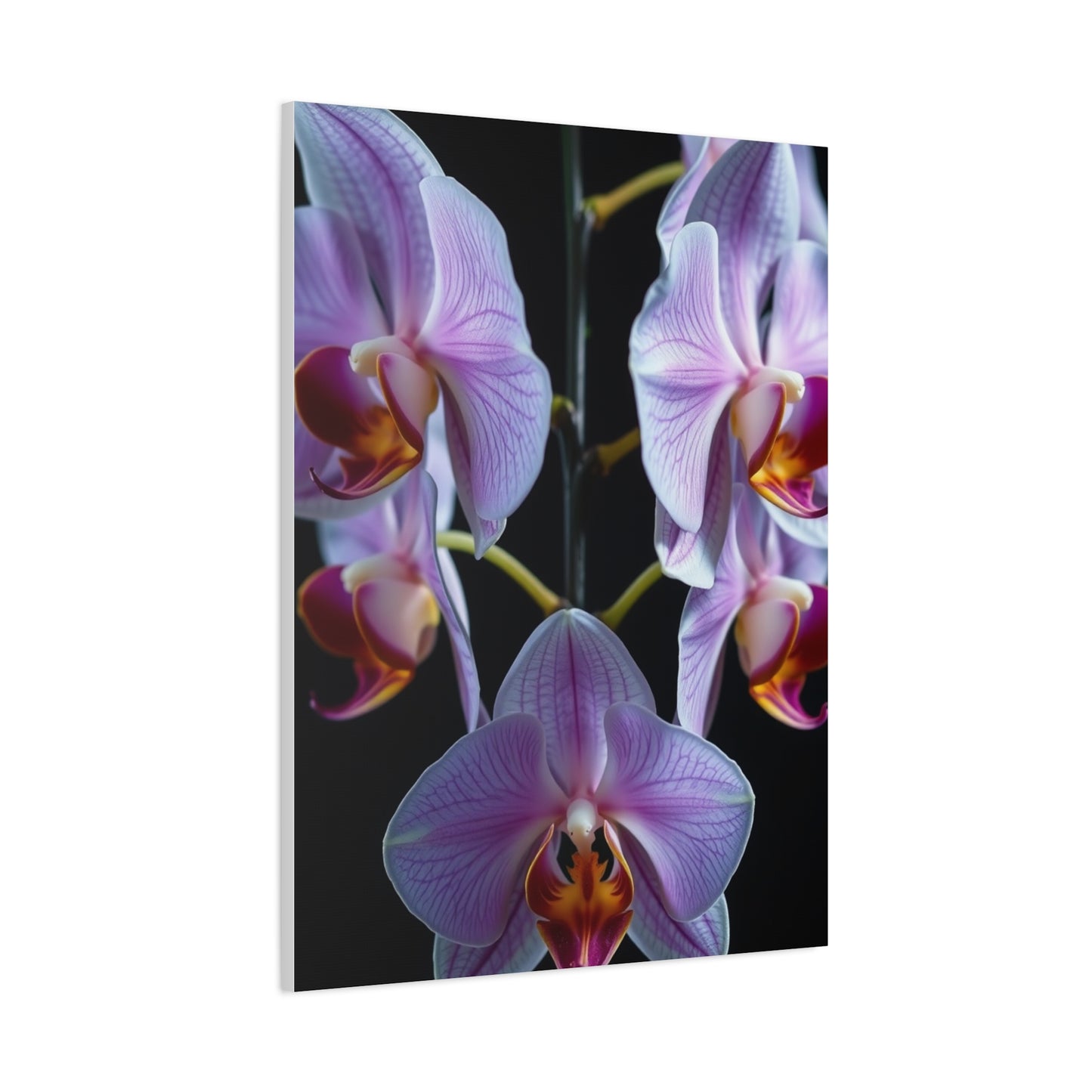 Supreme Orchid Flower Art Collection Wall Art & Canvas Print