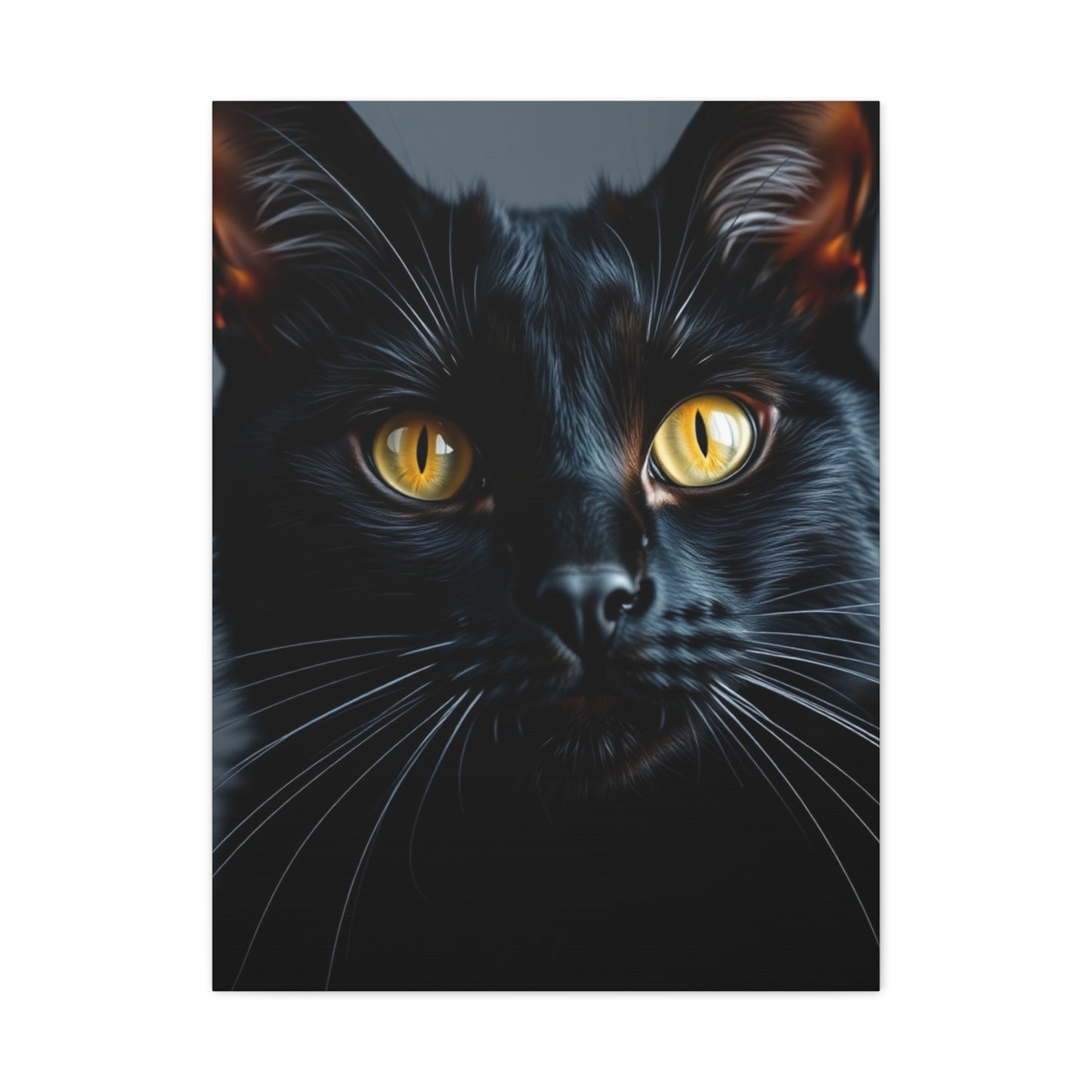 Supreme Black Cat Art Collection Wall Art & Canvas Print