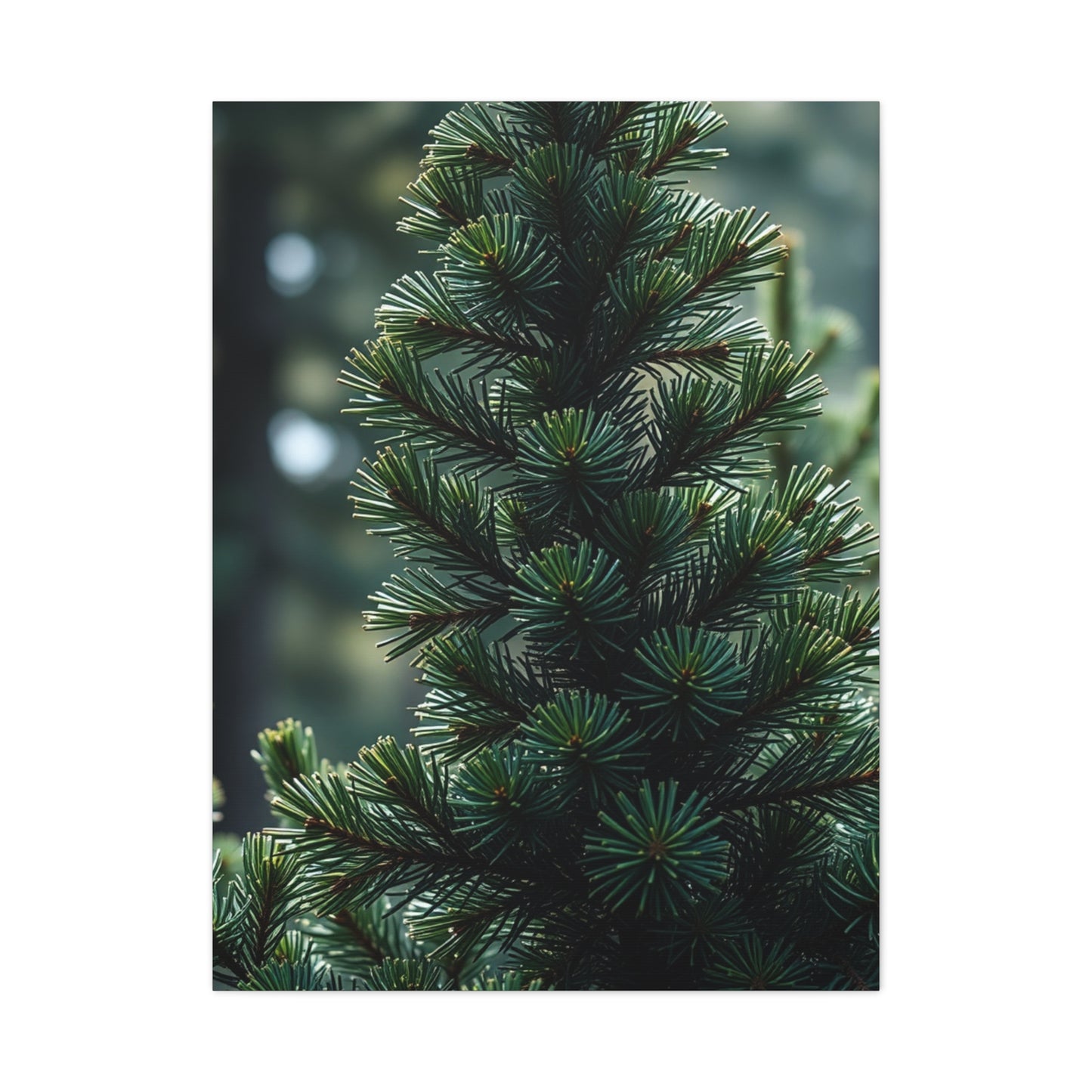 Pine Tree Art Refined Canvas Wall Art & Canvas Print