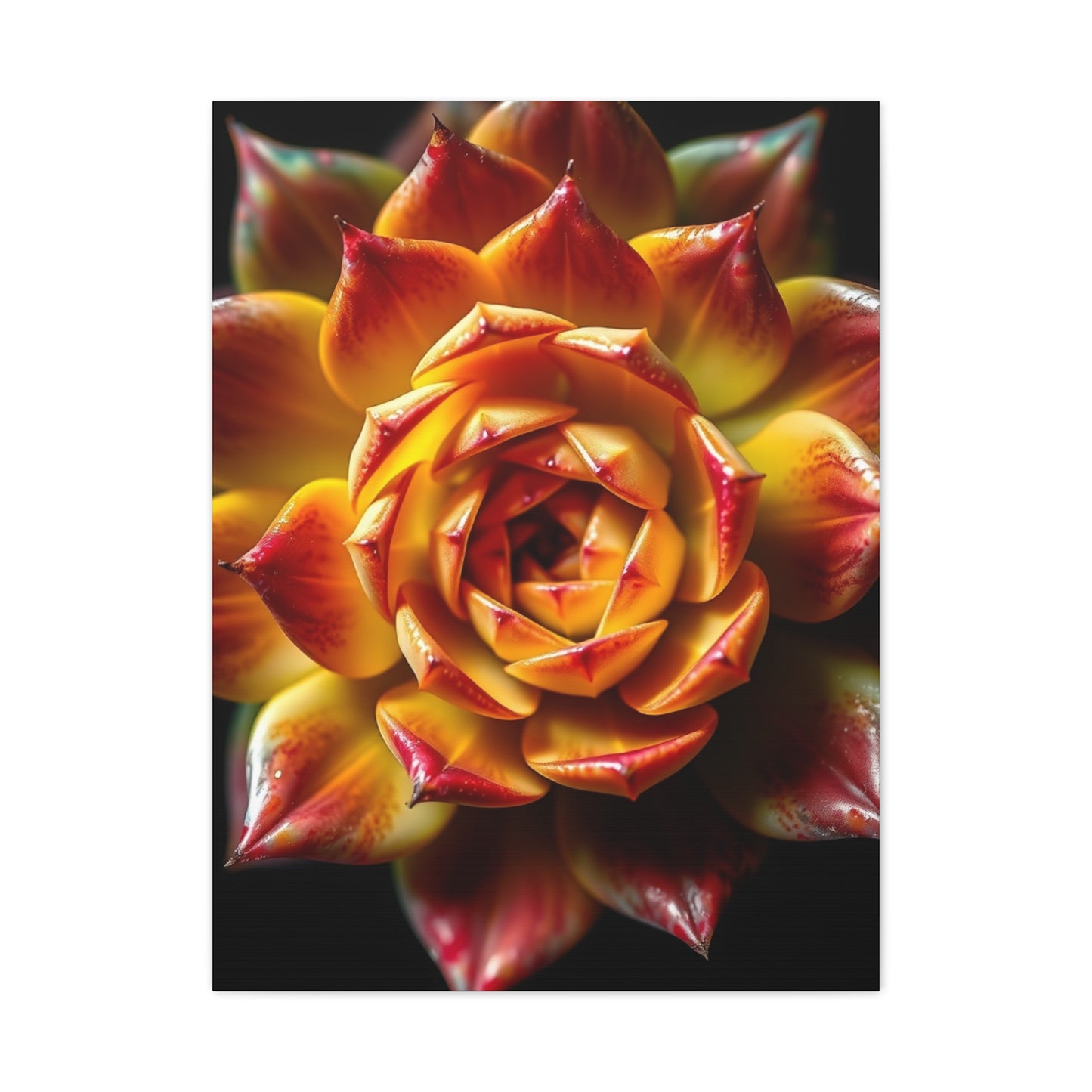 Supreme Succulent Art Collection Wall Art & Canvas Print