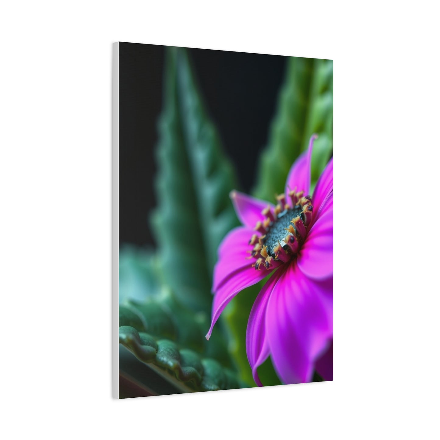 Nature Closeups Art Refined Canvas Wall Art & Canvas Print